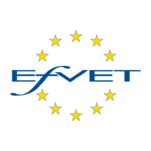 Признание: ПГ по дървообработване стана член на Европейския форум за професионално и техническо образование и обучение